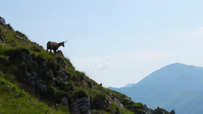 AKCJA-OPERACJA part 2